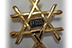EFDSS Gold Badge Award